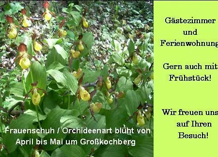 Haus-Auerhahn Grosskochberg
